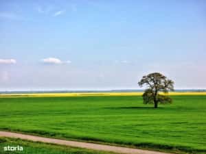 Teren UNIC P+2 mixt | Frumușani–Vasilati | Proiect dezvoltare — miniatura 5