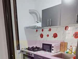 Garsoniera   Drumul Taberei la parc Moghiorasi — miniatura 1