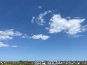 teren intravilan plaja corbu — miniatura 1