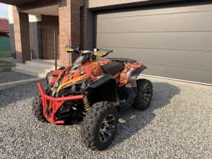 Can-Am Renegade 1000 – 2011 | 7.080 km | 432 ore | RAR — miniatura 7