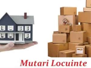 Transport Marfa l Mutari Mobila l Debarasari apartamente l Ridic moloz — miniatura 3