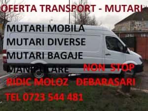 Transport Marfa l Mutari Mobila l Debarasari apartamente l Ridic moloz — miniatura 6