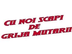 Transport Marfa l Mutari Mobila l Debarasari apartamente l Ridic moloz — miniatura 10