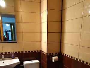 Apartament 3 camere ultracentral-Hotel Ramada,mobilat,utilat,CT,AC. — miniatura 6