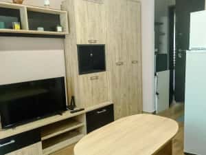 CI654 Garsoniera,zona Buziasului,AEM,parter — miniatura 3