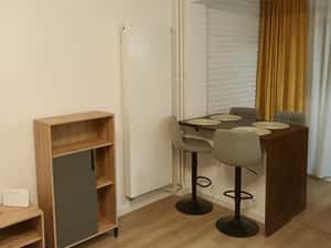 Închiriere garsonieră | Brazda lui Novac — miniatura 5