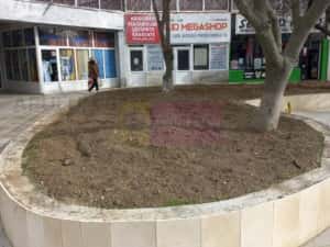 De vanzare spatiu comercial in Alexandria / Teleorman — miniatura 7