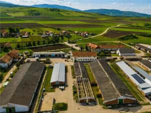 FILM! Complex agrozootehnic cu traditie, echipat + pretios potential multiplu — miniatura 5