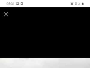 Grătar de grădină — miniatura 4