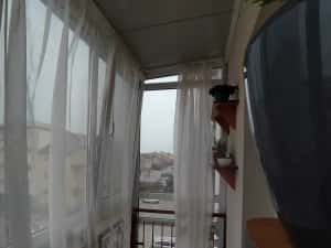 Cazare Eforie Nord apartament Crissan — miniatura 8