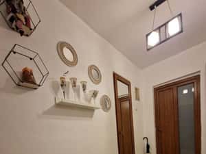 DECOMANDAT 1 MAI SARA S:61 MP — miniatura 8