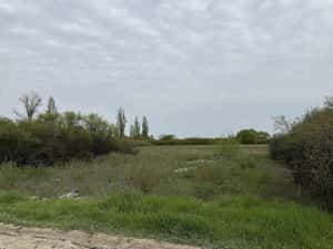 Proprietar, vând urgent teren intravilan 600 mp, lângă DJ591, Sânmihaiu Român   preț negociabil! — miniatura 4