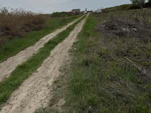 Proprietar, vând urgent teren intravilan 600 mp, lângă DJ591, Sânmihaiu Român   preț negociabil! — miniatura 5