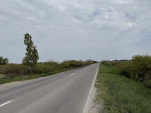 Proprietar, vând urgent teren intravilan 600 mp, lângă DJ591, Sânmihaiu Român   preț negociabil! — miniatura 7