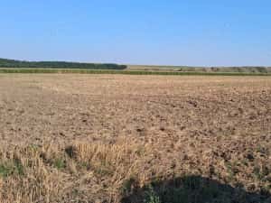 MCD Expert Imobiliare Vânzare teren agricol, Zona Izvoare — miniatura 1