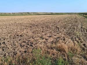 MCD Expert Imobiliare Vânzare teren agricol, Zona Izvoare — miniatura 2