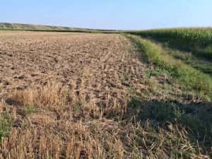MCD Expert Imobiliare Vânzare teren agricol, Zona Izvoare — miniatura 6