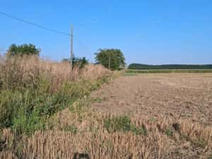 MCD Expert Imobiliare Vânzare teren agricol, Zona Izvoare — miniatura 7