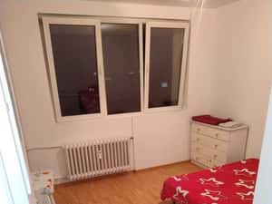 Proprietar,Sos Giurgiului,Berceni,spate Piata Progresul,metrou — miniatura 4