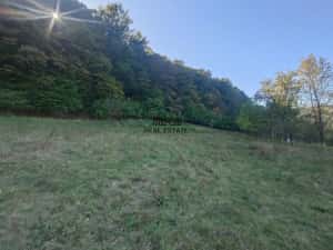5,6 ha terenuri si padure in Criscior — miniatura 1