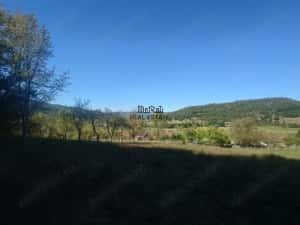 5,6 ha terenuri si padure in Criscior — miniatura 3