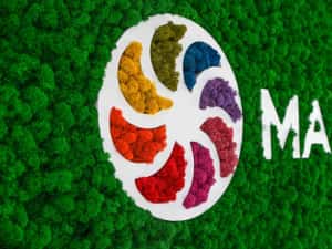 Litere din licheni decorativi - logo companii