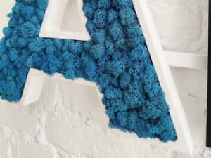 Litere din licheni decorativi - logo companii — miniatura 3