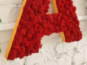 Litere din licheni decorativi - logo companii — miniatura 4