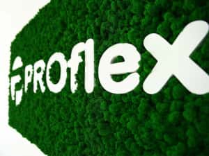Litere din licheni decorativi - logo companii — miniatura 8