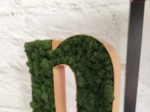 Litere din licheni decorativi - logo companii — miniatura 10
