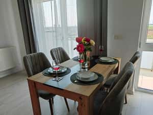 De închiriat apartament tip Penthouse (zona Mehala) — miniatura 4