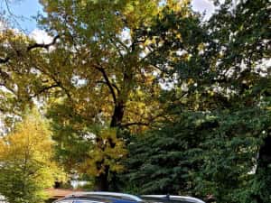 VW Touareg 3.0tdi Ventilație scaune! Volan încălzit! Camere 360⁰ R20 — miniatura 4