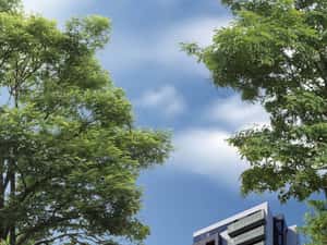 Direct Dezvoltator – 1 cameră tip 1C – B Home Residence fără comision — miniatura 3