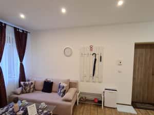 Studio central mobilat si utilat, funcționeaza ca regim hotelier — miniatura 4