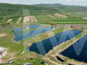 Teren Extravilan cu lac – Investiție în Natură și Agrement | 35.251 mp — miniatura 4