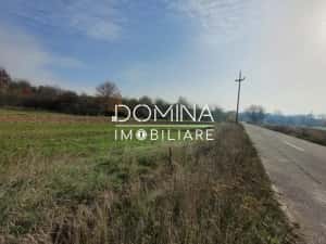 Vânzare teren intravilan - 1654 mp - strada Amurgului - Ursați — miniatura 5