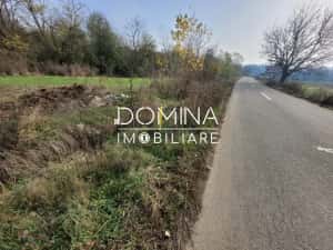 Vânzare teren intravilan - 1654 mp - strada Amurgului - Ursați — miniatura 6