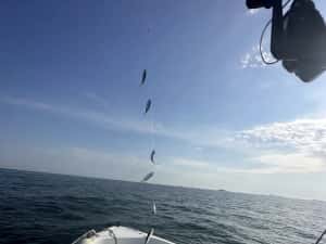 Barca / Salupa Delphin 5.5.An 2020 cu motor Yamaha 80 cp (100 h) + peridoc inmatriculat. Pescuit, agrement, etc — miniatura 3