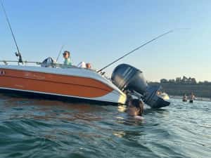 Barca / Salupa Delphin 5.5.An 2020 cu motor Yamaha 80 cp (100 h) + peridoc inmatriculat. Pescuit, agrement, etc — miniatura 5