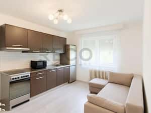 RECO Apartament parter 2 camere Nufarul — miniatura 1
