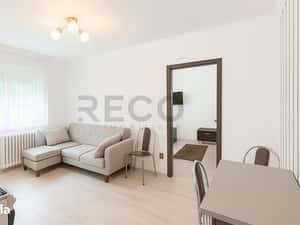 RECO Apartament parter 2 camere Nufarul — miniatura 4