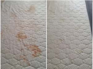 Curățare canapele, saltele, covoare, auto etc. — miniatura 5