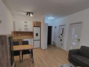 De inchiriat apartament nou cu 2 camere/ studio in zona FORD