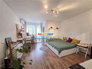 Garsoniera spatioasa, luminoasa, Ion Mihalache, Ion Neculce