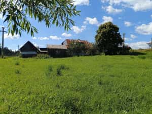 3900 mp teren intravilan in Poiana Stampei — miniatura 6