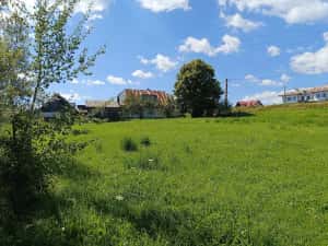3900 mp teren intravilan in Poiana Stampei — miniatura 7