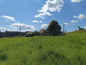 3900 mp teren intravilan in Poiana Stampei — miniatura 8
