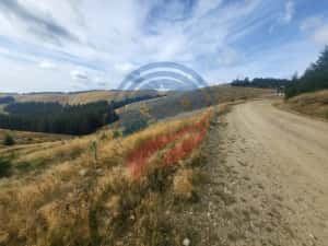 Teren de vanzare in Horezu/Bolca Pietrele Scrise/Valcea — miniatura 5