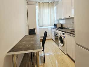 De inchiriat Apartament 1 camera cu terasa 30 mp, Tudor Vladimirescu — miniatura 5
