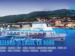 Vând/Schimb Ambarcatiune 75 Pasageri+ 2 Pontoane, 1 Ponton Restaurant+Ponton Acostare — miniatura 4